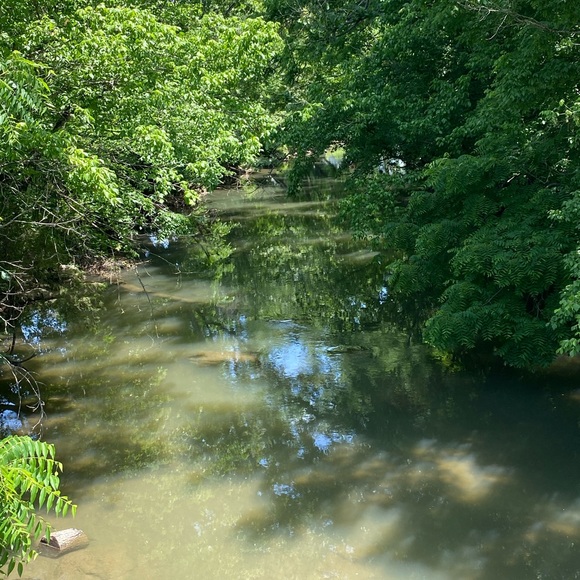 Meet your Posher, Cassie - Picture 15 of 16